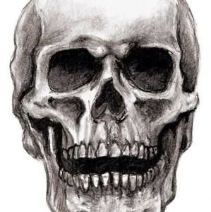 Meet your Posher, Harry